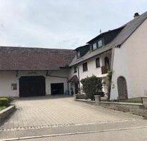 Großzügige 4,5-Zimmer-Wohnung mit Balkon, EBK & Stellplatz - Dietenheim