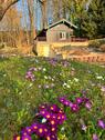 Foto - Wochenendhaus mit großem Gartengrundstück bei Spraitbach