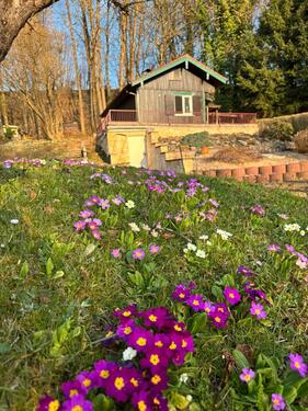 Foto - Wochenendhaus mit großem Gartengrundstück bei Spraitbach
