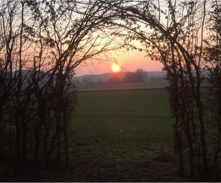 Foto - Stellplatz, Camping, Mobilheim, Tinyhouse, Wohnwagen