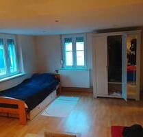 Biete schönes Zimmer in Widensolen ( Elsass) - Breisach am Rhein