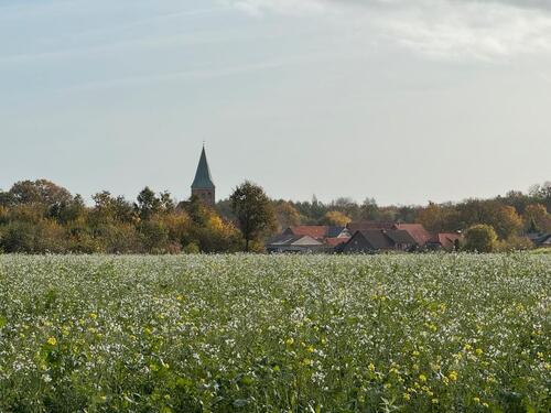 Foto - Einfamilienhaus in Lüchow (Wendland) zum Kaufen