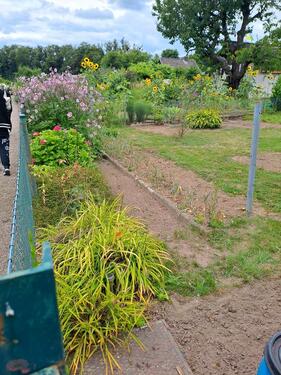Foto - Grundstück zur Miete in Hameln