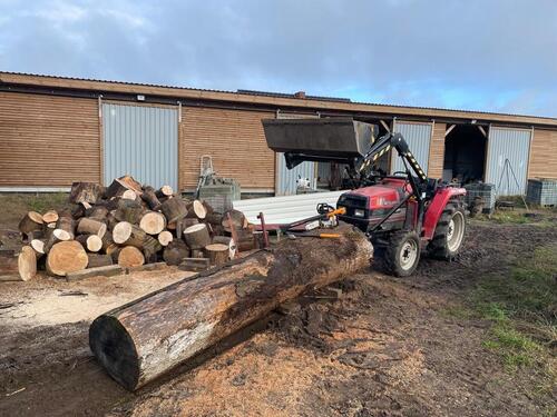 Foto - 3 Zimmer Bungalow in Leezen