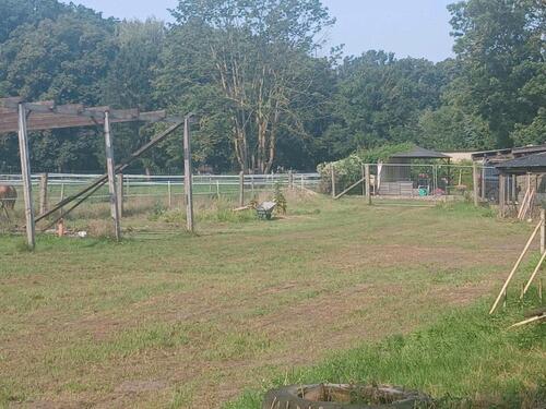 Foto - Einfamilienhaus in Seehausen (Altmark) zum Kaufen