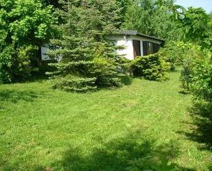 Ferienhaus Harz mitten im Wald 4 Pers. riesen Garten, POOL, Hunde - Sangerhausen