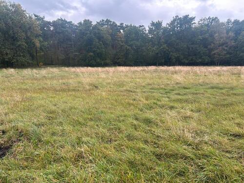 Foto - Grundst&uuml;ck in Heidesee