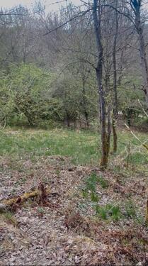 Foto - Grundst&uuml;ck zur Miete in Schlangenbad