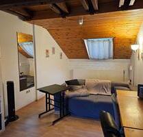 1 large room + attic apartment in central Göttingen old town