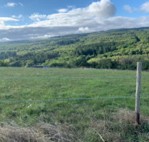 Sommer-Weide für zwei Pferde - 200,00&nbsp;EUR Kaltmiete, ca.&nbsp; 0,00&nbsp;m&sup2; in Seibersbach (PLZ: 55444)