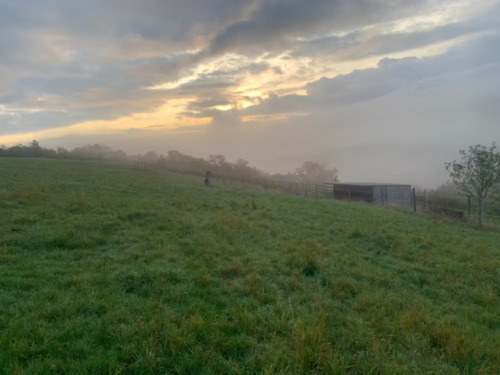Foto - Grundst&uuml;ck zur Miete in Seibersbach