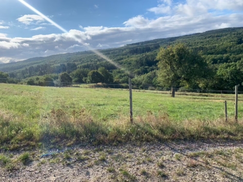 Foto - Grundst&uuml;ck in Seibersbach