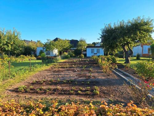 Foto - Kleingarten - 1.500,00&nbsp;EUR Kaltmiete, ca.&nbsp; 0,00&nbsp;m&sup2;