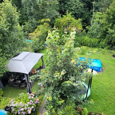 Foto - Große Wohnung Spiesen-elversberg Waldstrasse