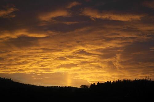Foto - 7 Zimmer Villa zum Kaufen in Schmitten im Taunus