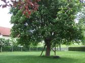 Foto - andere zur Miete in Hörselberg-Hainich