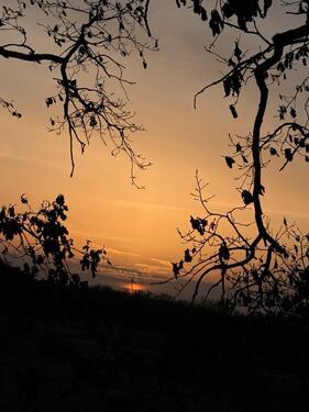Foto - 1,5 Zimmer-Wohnung mit Balkon nahe Bahnhof Bellevue