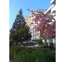 1,5 Zimmer Studio Appartement in attraktiver Lage - Mörfelden-Walldorf