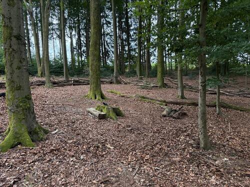Foto - Waldgrundstück in Wermelskirchen zu verpachten