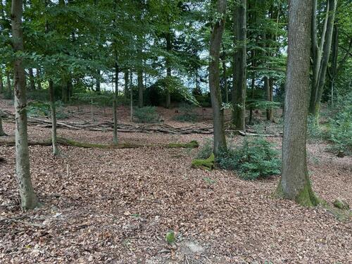 Foto - Grundstück zur Miete in Leichlingen (Rheinland)