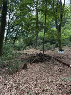 Foto - Grundstück in Leichlingen (Rheinland)