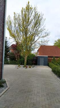Foto - Etagenwohnung in Delmenhorst zur Miete