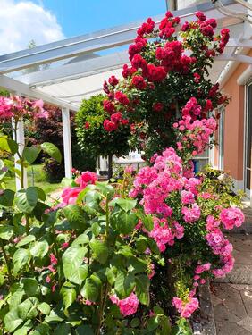 Foto - 7 Zimmer Einfamilienhaus in Kirchberg im Wald