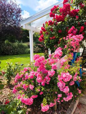 Foto - Einfamilienhaus in Kirchberg im Wald zum Kaufen