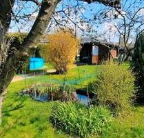 Kleingarten Pirna Zehista - 3.700,00&nbsp;EUR Kaltmiete, ca.&nbsp; 0,00&nbsp;m&sup2; in Pirna (PLZ: 01796)