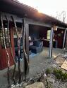 Foto - Einfamilienhaus in Walsrode zum Kaufen