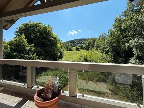 Foto - Wohnung Willingen 78m“ Balkon-Parken-ruhige Lage im Grünen