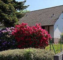 Waldbröl-Brenzingen DG-Wohnung, 2 Zimmer, 70 m²