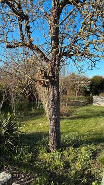 Foto - Grundst&uuml;ck zur Miete in Leipzig