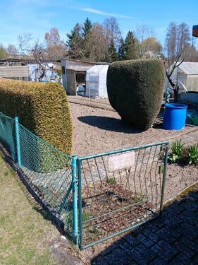 Foto - Grundst&uuml;ck zur Miete in Guben