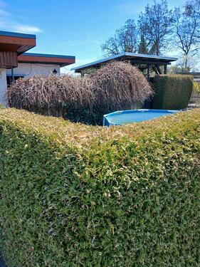 Foto - Grundst&uuml;ck in Guben