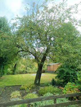 Foto - 3 Zimmer Etagenwohnung zur Miete in Schleswig