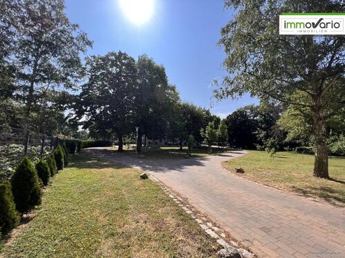 Foto - 3 Zimmer Erdgeschoßwohnung zur Miete in Magdeburg