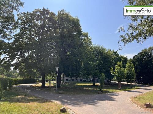 Foto - 3 Zimmer Erdgeschoßwohnung in Magdeburg