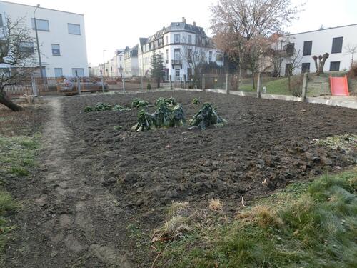 Foto - Bioteilgarten 230 m² als Pachtland