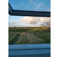 1Raumwohnung bei zwischen Demmin, Neubrandenburg und Altentreptow - Rosenow