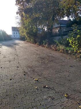 Foto - andere in Wallertheim zur Miete
