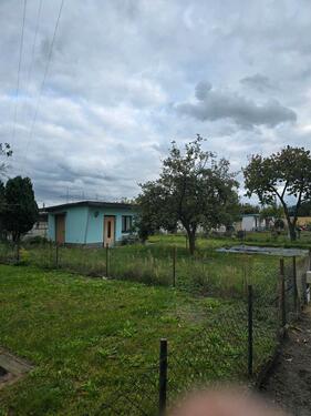 Foto - Kleingarten in Spremberg (Sparte) abzugeben