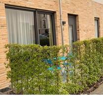 Wohnung im Tuchmacherviertel in Aachen Brand zu vermieten