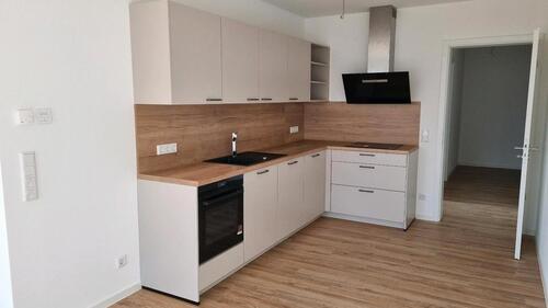 Foto - 2 Zimmer Erdgeschoßwohnung zur Miete in Osnabrück