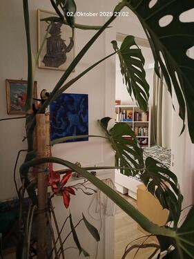 Foto - Etagenwohnung zur Miete in Hamburg