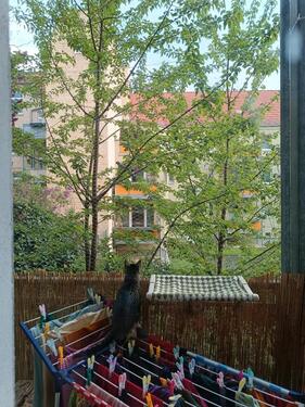 Foto - Etagenwohnung in Halle (Saale)