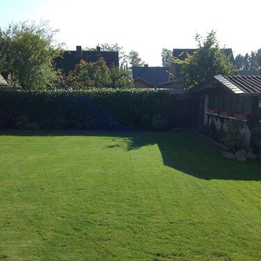 Foto - 7 Zimmer Einfamilienhaus zum Kaufen in Haselünne