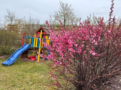 Foto - Garten mit Haus, Strom & Wasser – in Brandenburg an der Havel