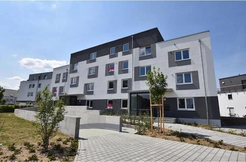 Foto - 3.Zimmer Wohnung mit Garten zu vermieten ink Küche An den Eichen