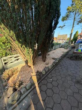 Foto - 2 ZKB OG-Wohnung mit EBK Stellplatz und sepa. Terrassenbereich